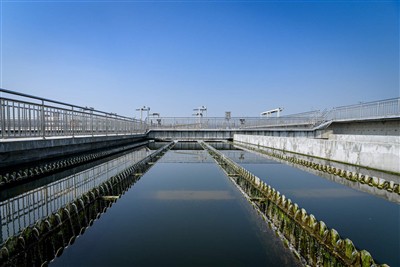 Dva glavna uzroka trovanja muljem i njihova rješenja!